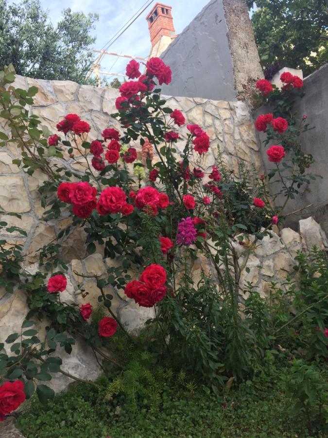 Perina Apartment - Free Parking Dubrovnik Dış mekan fotoğraf